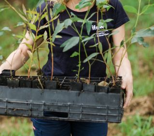 Woman Holding Plants